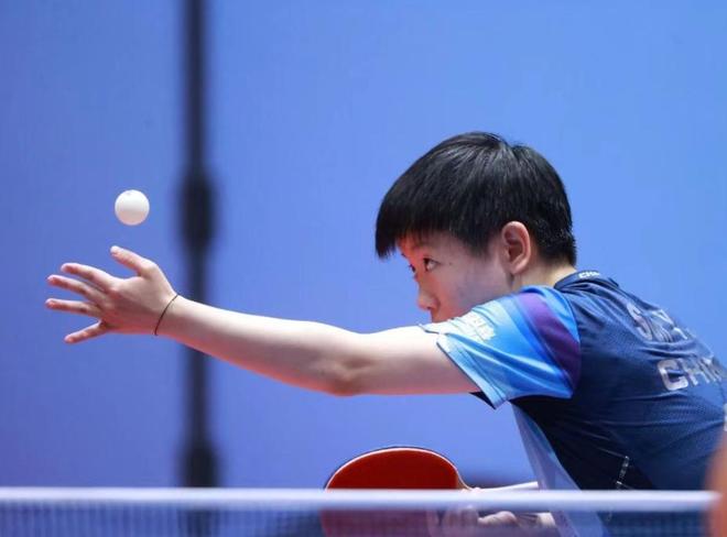 无疑是众多 无疑是众多